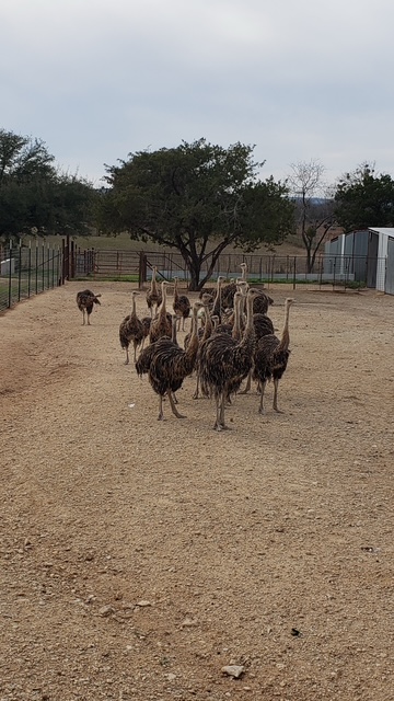 20210128 142745 original