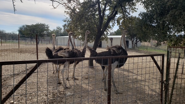 20210128 142823 original