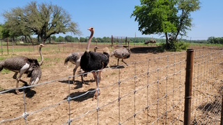 20210503 121332 original