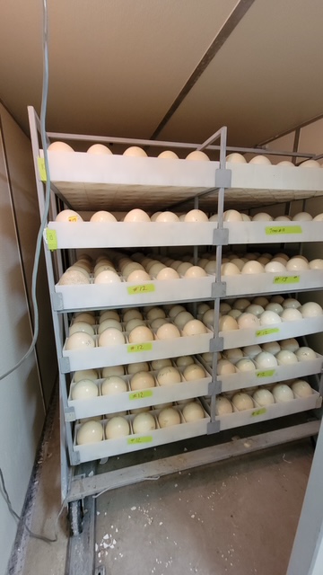 20210519 143817 original