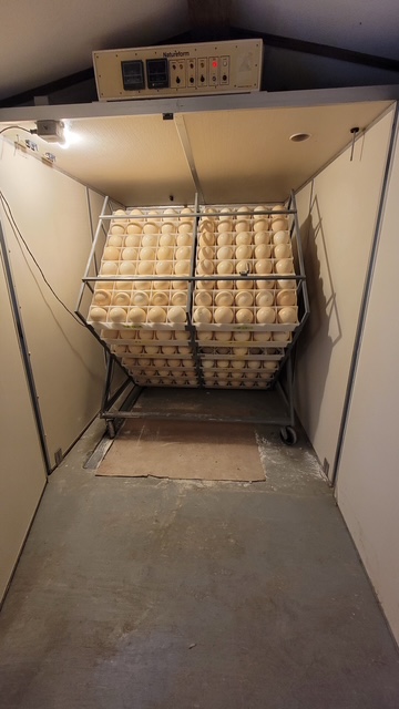 20210519 144133 original