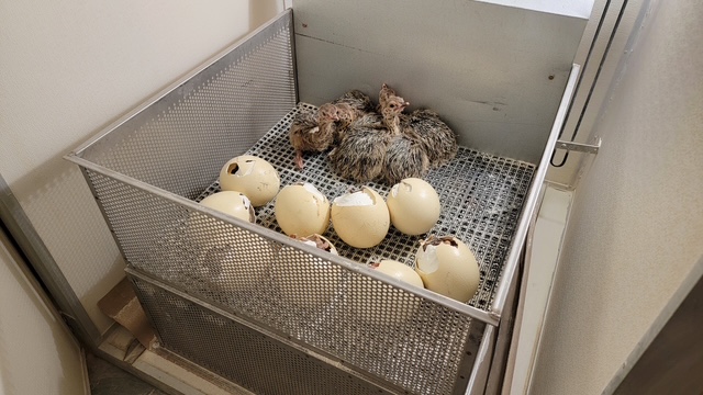 20210521 093620 original