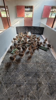 20210722 092629 original