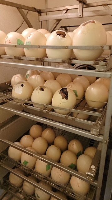 20210811 131801 original