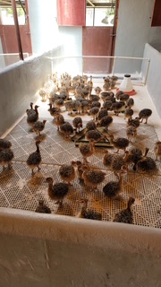 20210811 131828 original