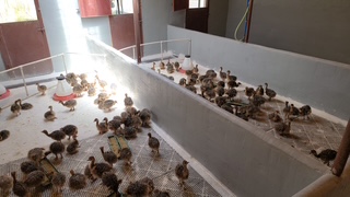 20210811 131841 original