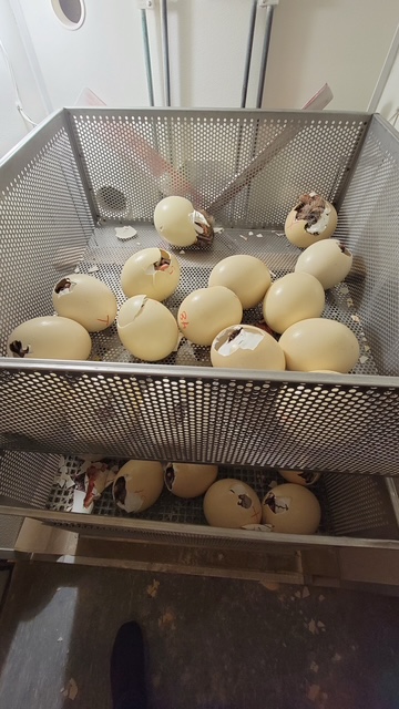 20210811 132845 original