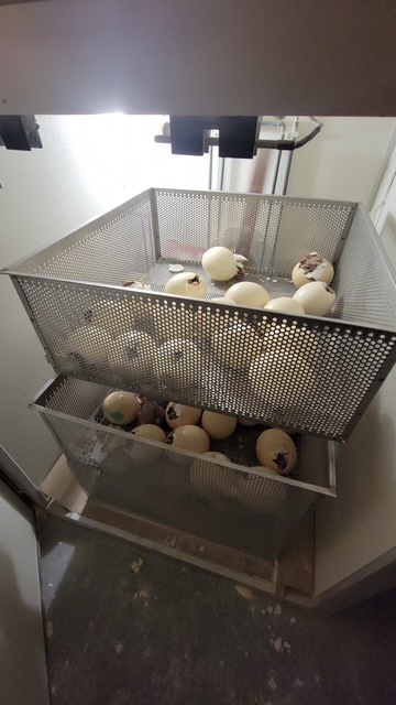 20210811 133020 original