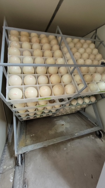 20210901 130638 original