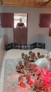 20210924 095020 original