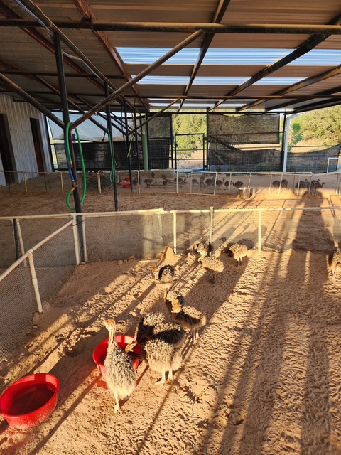 20220923 080729 original