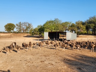 20220923 083302 original